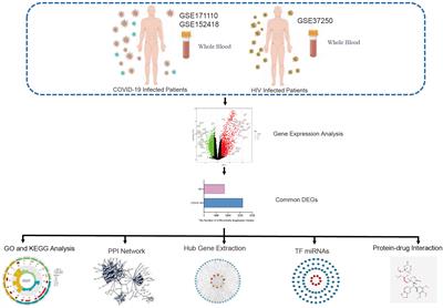 Blood transcriptome analysis revealed the crosstalk between COVID-19 and HIV